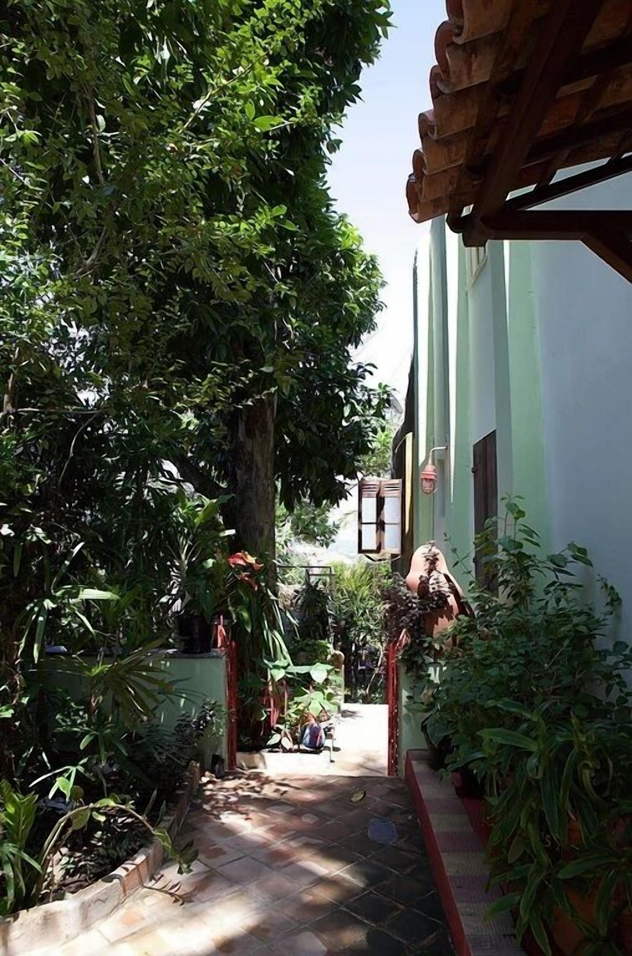 Un sentiero stretto, circondato da vegetazione rigogliosa e un edificio con facciata verde.