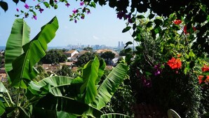 A view of a cityscape with buildings and a clear sky. - Irradiante (Olinda)