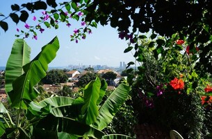 Vista desde la propiedad