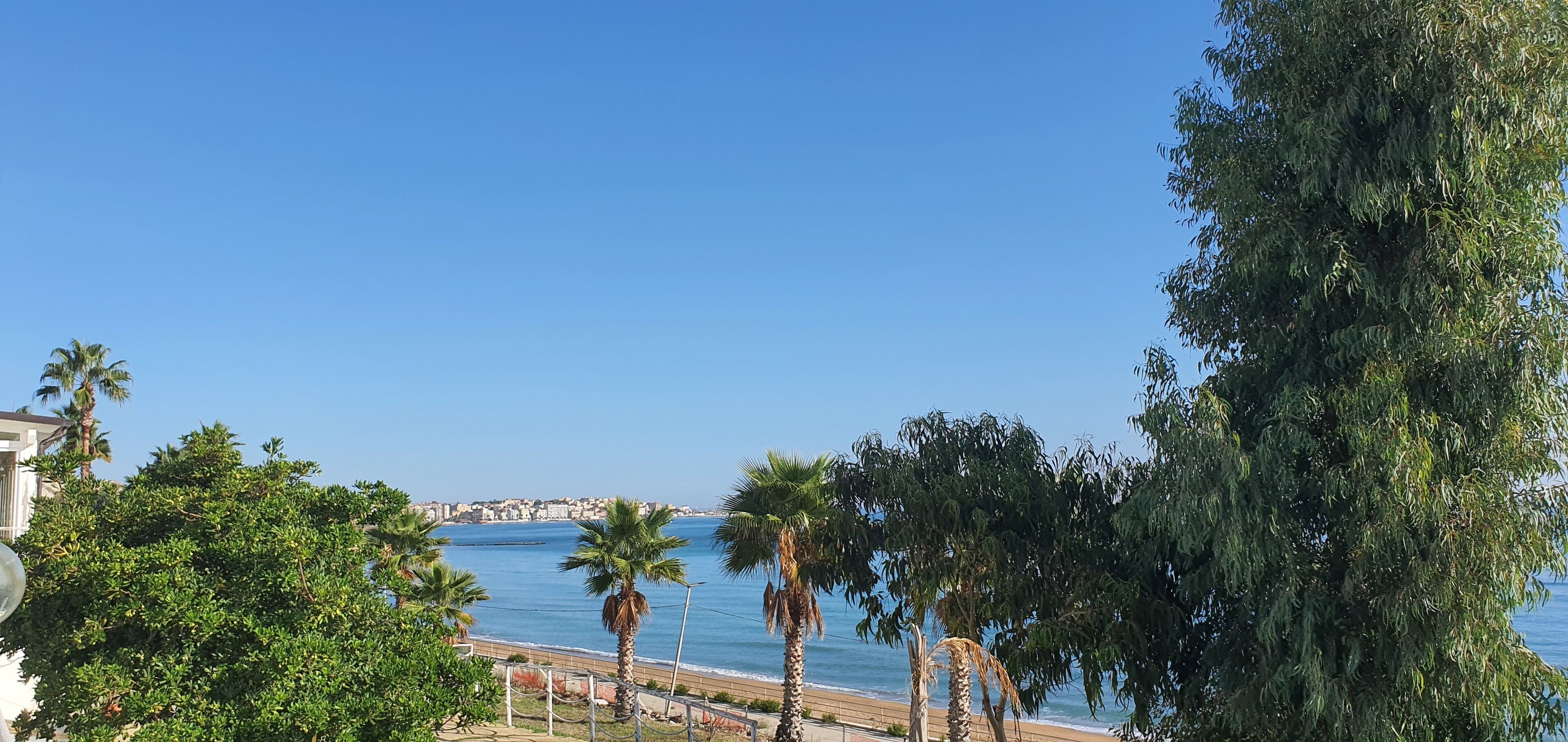 Une vue sur la côte, avec des palmiers, un ciel bleu dégagé et une silhouette de ville qui se dessine à l’horizon.
