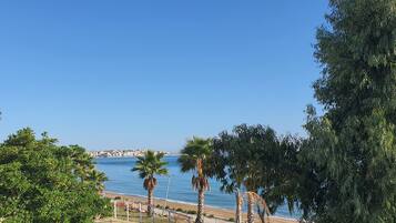 Une vue sur la côte, avec des palmiers, un ciel bleu dégagé et une silhouette de ville qui se dessine à l’horizon.