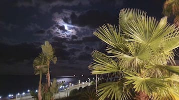 Una escena nocturna con cielo iluminado por la luna, palmeras y un sendero iluminado que conduce al agua.