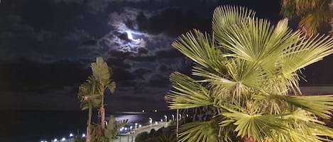 Una escena nocturna con cielo iluminado por la luna, palmeras y un sendero iluminado que conduce al agua.