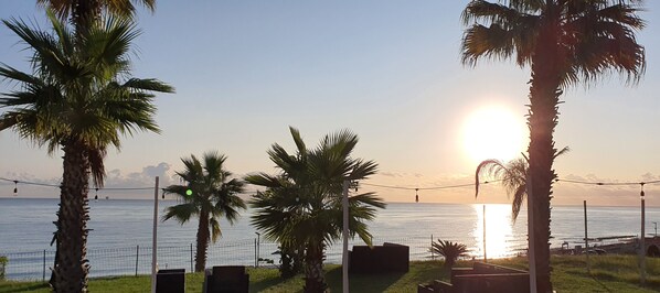 A beach view with palm trees, a fence, and a sunset.