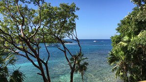 基本客房, 1 張特大雙人床, 海景 | 客房景觀
