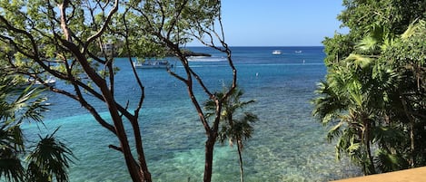 Basic Room, 1 Katil Raja (King), Ocean View | Pemandangan dari bilik