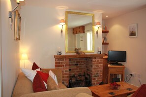 TV, fireplace, DVD player, books