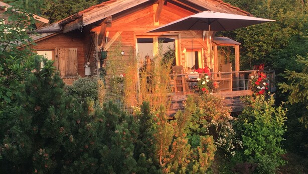 Uma cabana de madeira com varanda, rodeada por vegetação densa.