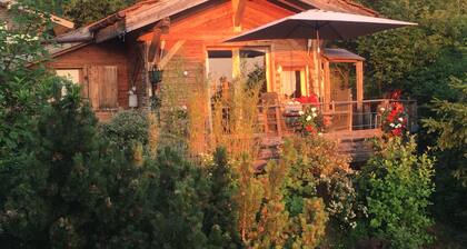 Chalet Savoyard dominant Lac LĂMAN