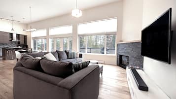 TV, fireplace, video games