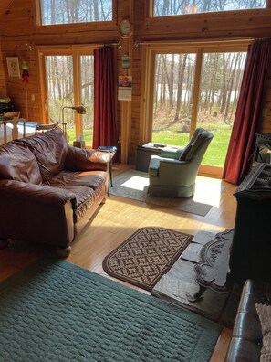 Télévision, cheminée, lecteur de DVD, livres