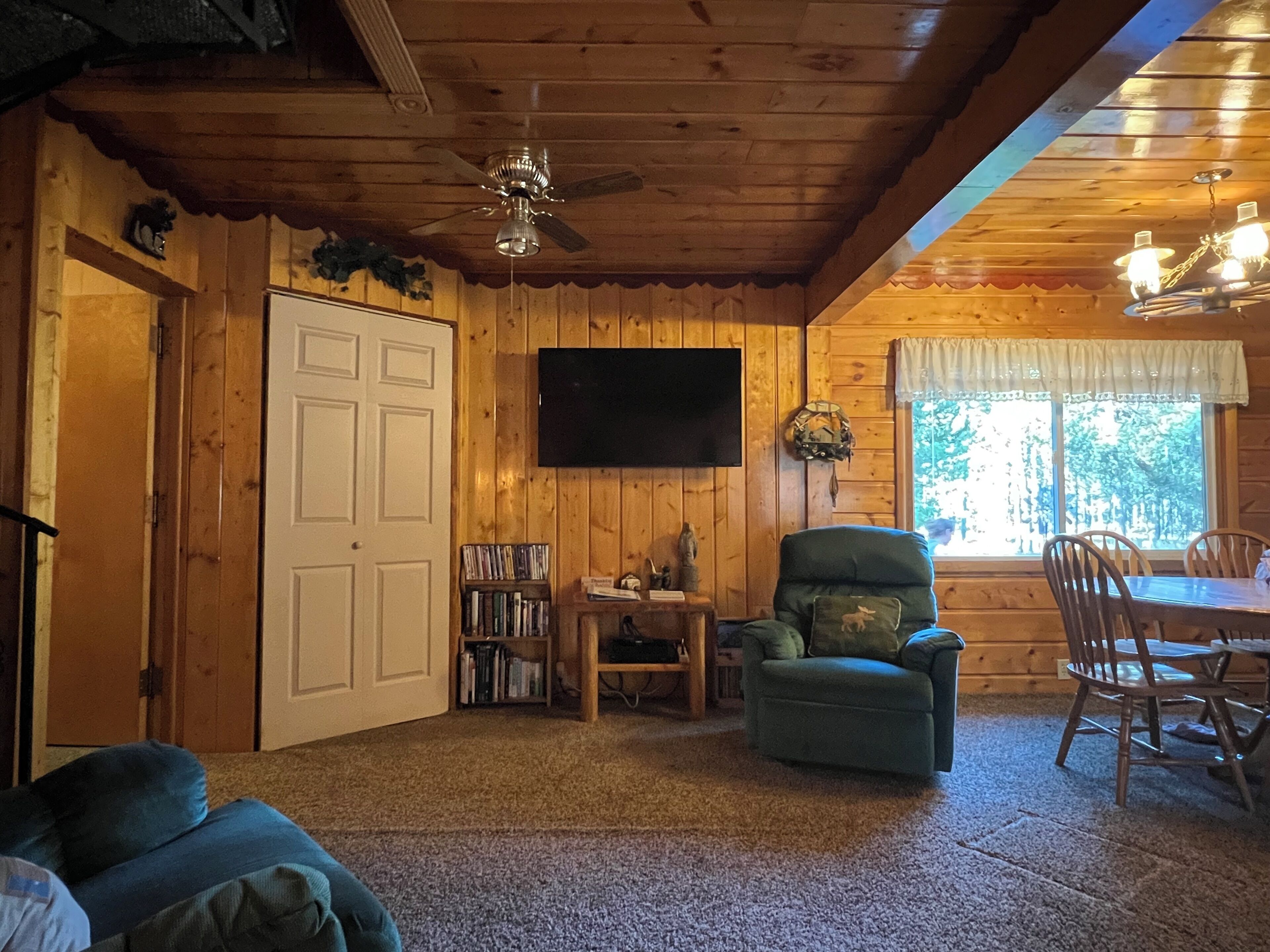 Smart TV, fireplace, DVD player, books