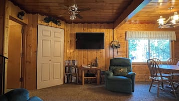 Smart TV, fireplace, DVD player, books