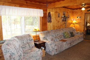 Smart TV, fireplace, DVD player, books