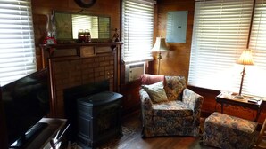 Una sala de estar acogedora con chimenea, televisor y un sillón estampado.