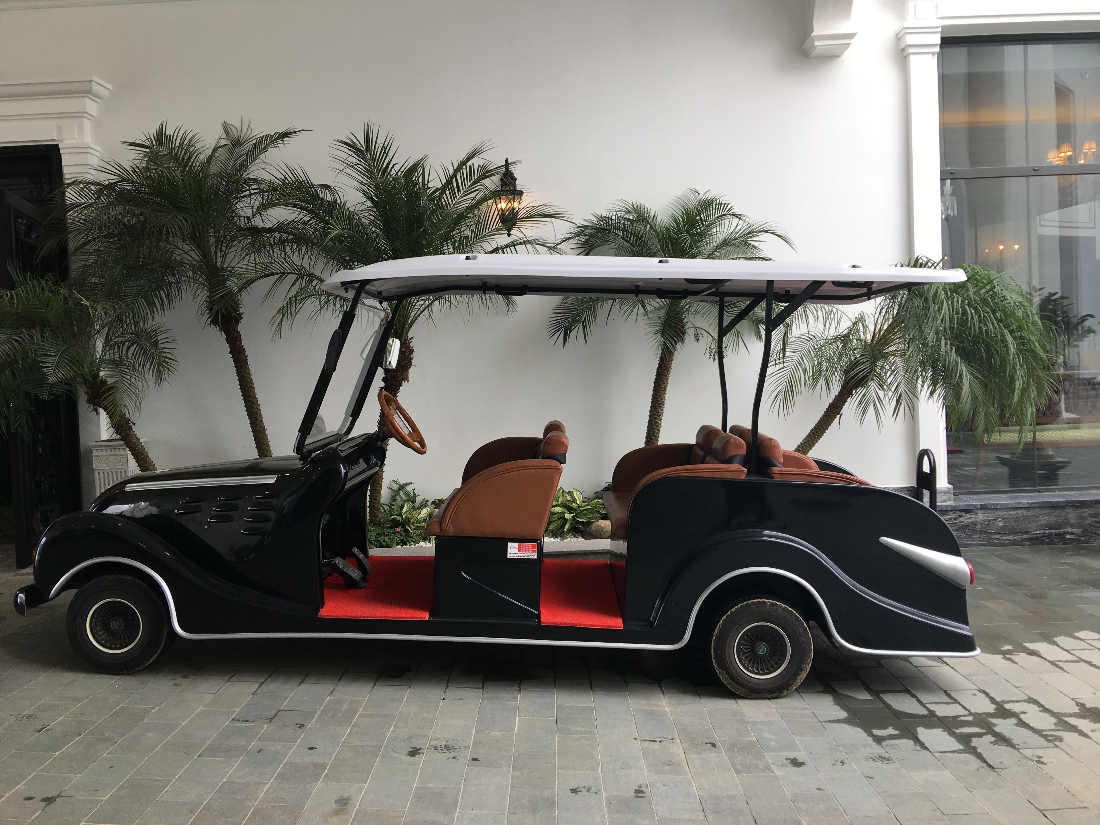 Ein Oldtimer-Golfmobil mit Fahrer- und Passagiersitz, geparkt auf einer befestigten Fläche, im Hintergrund Palmen.