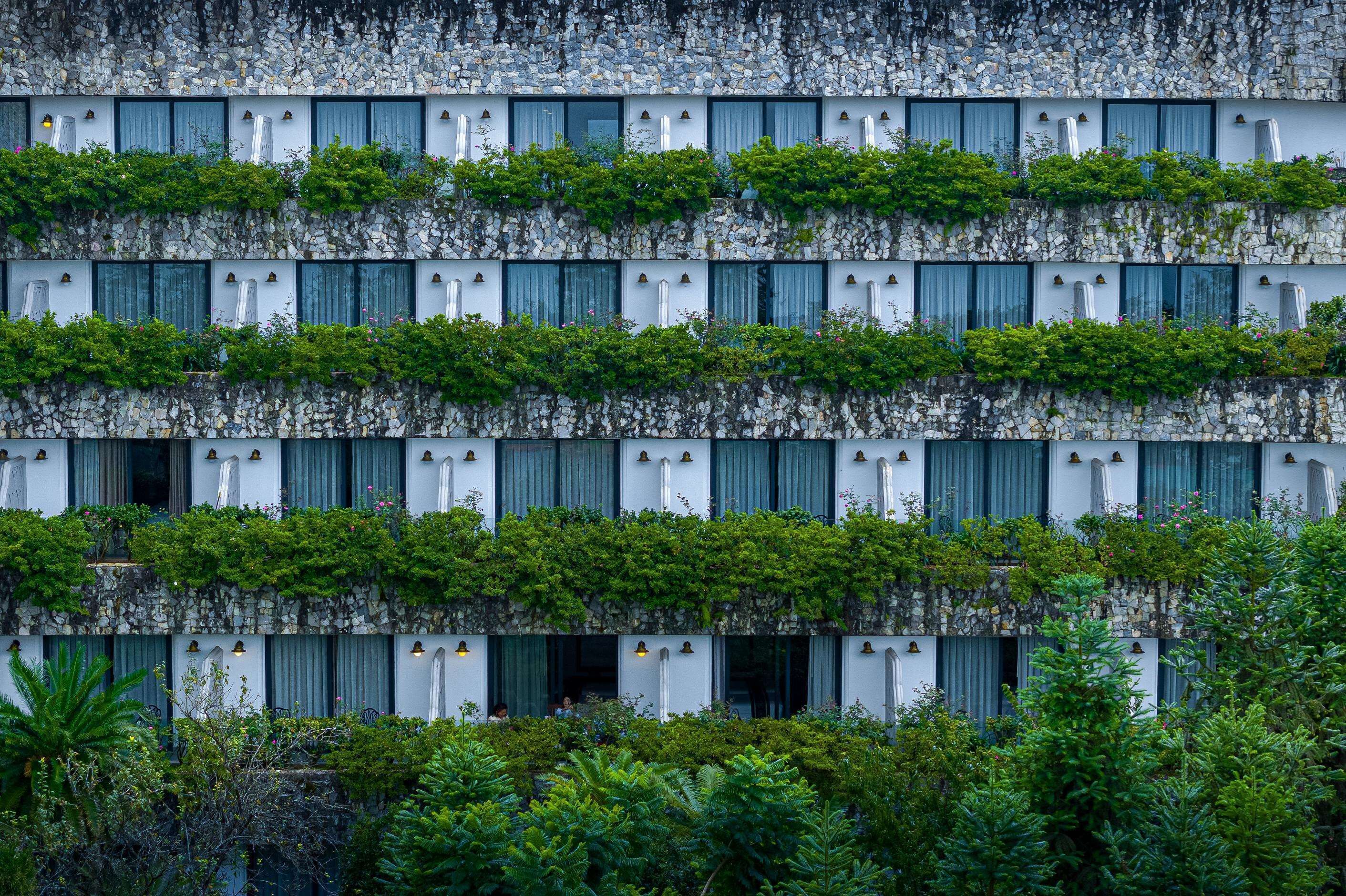 A multi-story building with balconies covered in greenery, featuring a uniform architectural style with white walls and blue shutters.