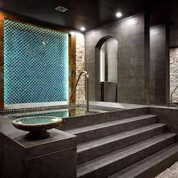 Sauna, bain à remous, hammam, sources chaudes/minérales, soins corporels