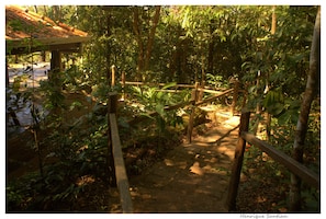 Garden - Cantos da Mata (Chapada dos Guimarães)