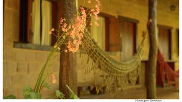 A hammock tied between two trees in front of a building with windows and a brick wall.