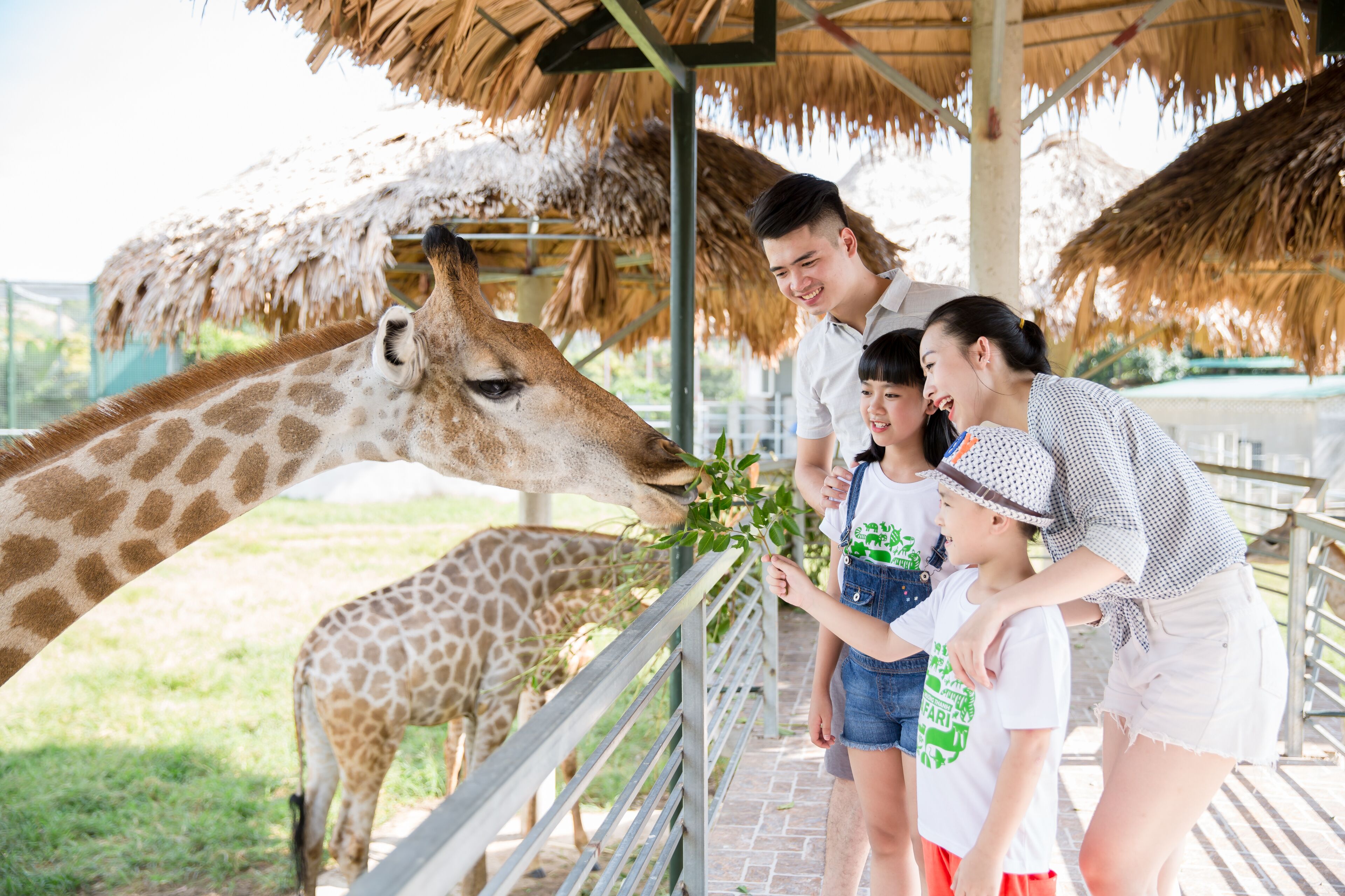 Une famille nourrit une girafe dans un enclos de zoo doté d’un toit de chaume et d’une rambarde métallique.