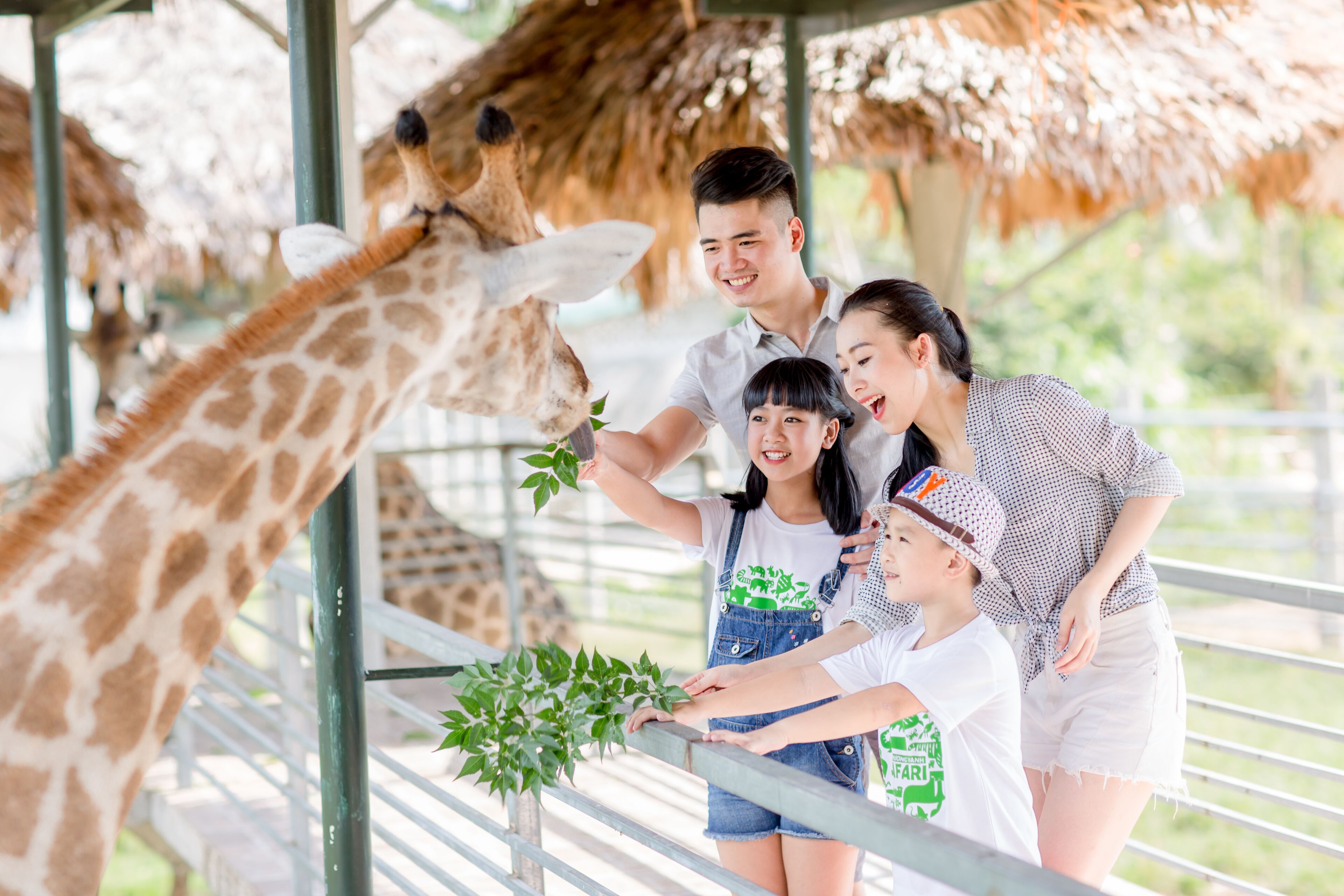 Una família interactua amb una girafe a una zona delimitada d'un zoo, amb teulada de palla i barana de metall.