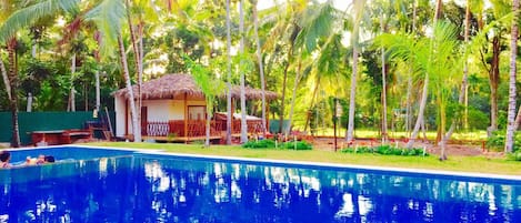 Outdoor pool, pool umbrellas, pool loungers