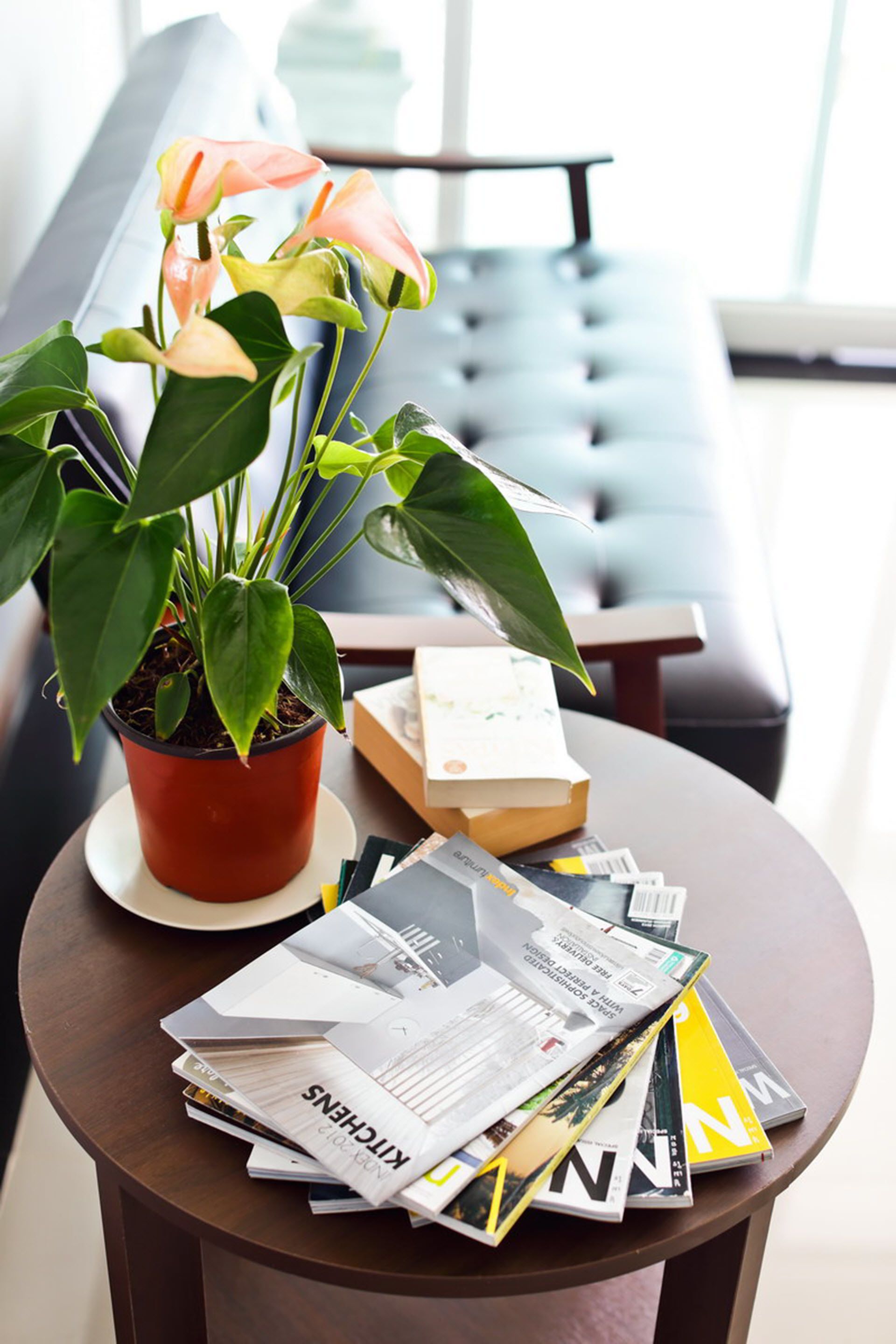 A potted plant with green leaves and a few flowers, a stack of magazines, and a small box on a round table.