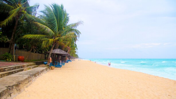 Ein Strand mit Palmen, einem Holzzaun und einer strohgedeckten Hütte.
