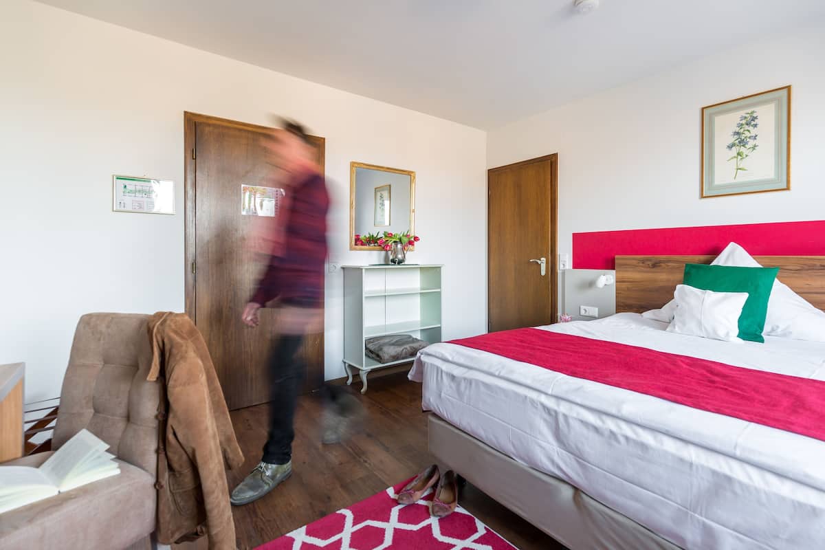 A hotel room with a bed, a chair, a desk, a mirror, and a door.
