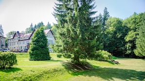 A park with a large coniferous tree, a grassy area, and a building with a sloped roof in the background. - Waldhotel Friedrichroda (Friedrichroda)