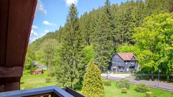 Junior-Suite, Balkon, Parkblick | 1 Schlafzimmer, Schreibtisch, laptopgeeigneter Arbeitsplatz