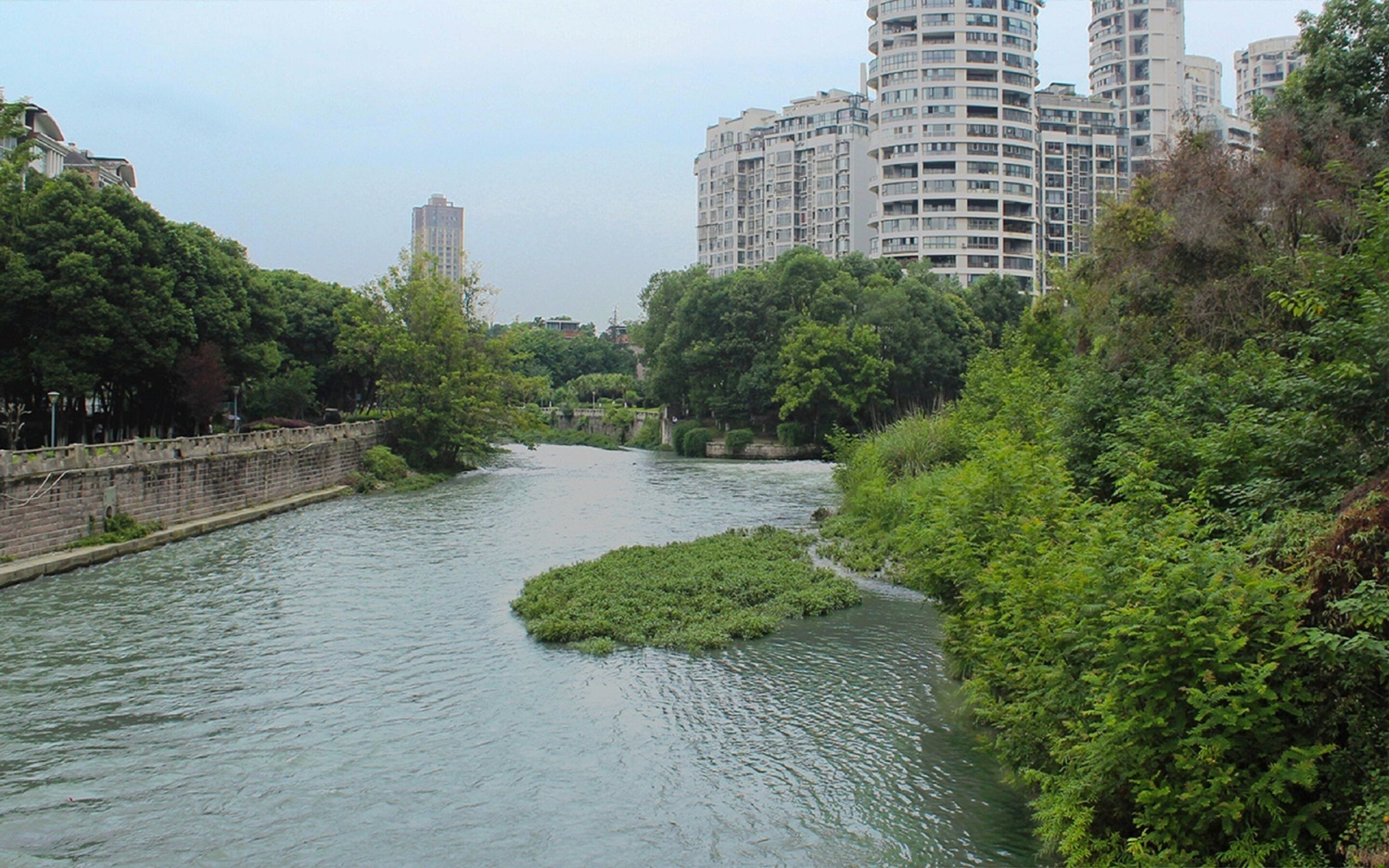 A river with a stone wall on one side and dense greenery on the other.