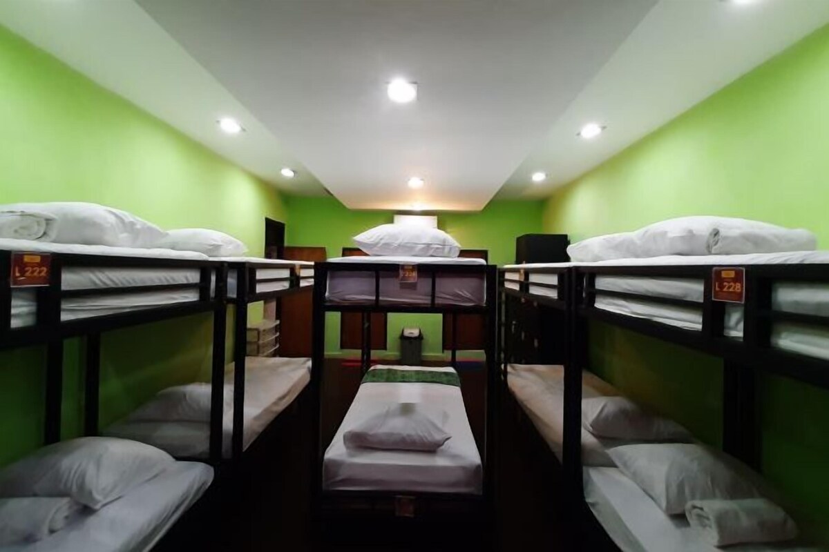 A bunk room with bunk beds, a small table, and a green wall.