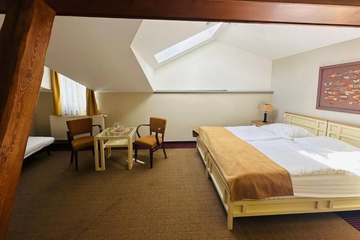 A room with a bed, a table, two chairs, a radiator, and a skylight.