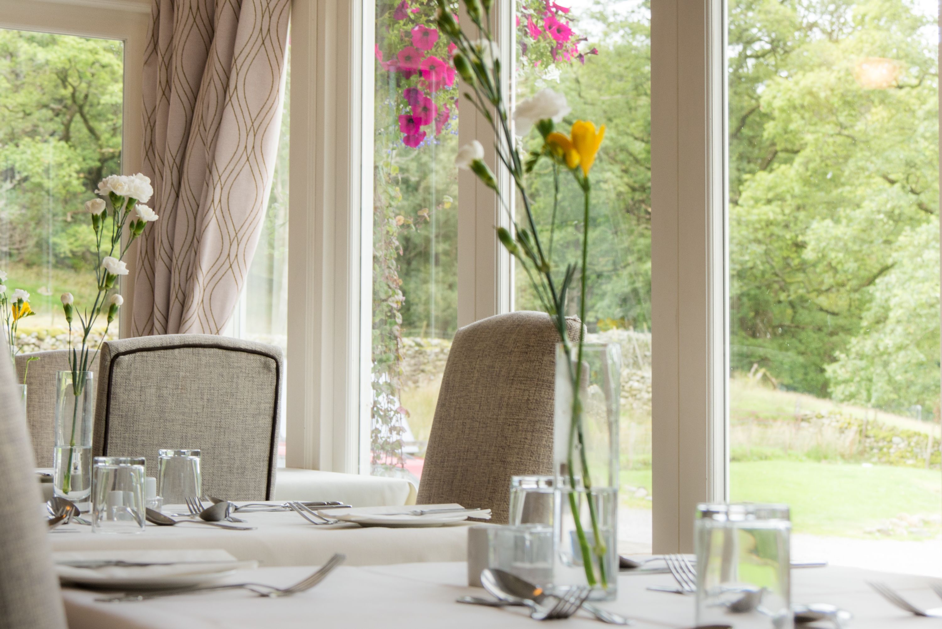 lunch and dinner served