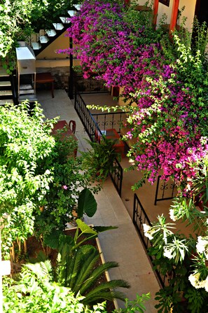 Garden - Sevil Hotel (Manavgat)