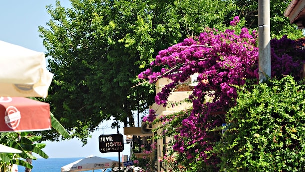 Front of property - Sevil Hotel (Manavgat)