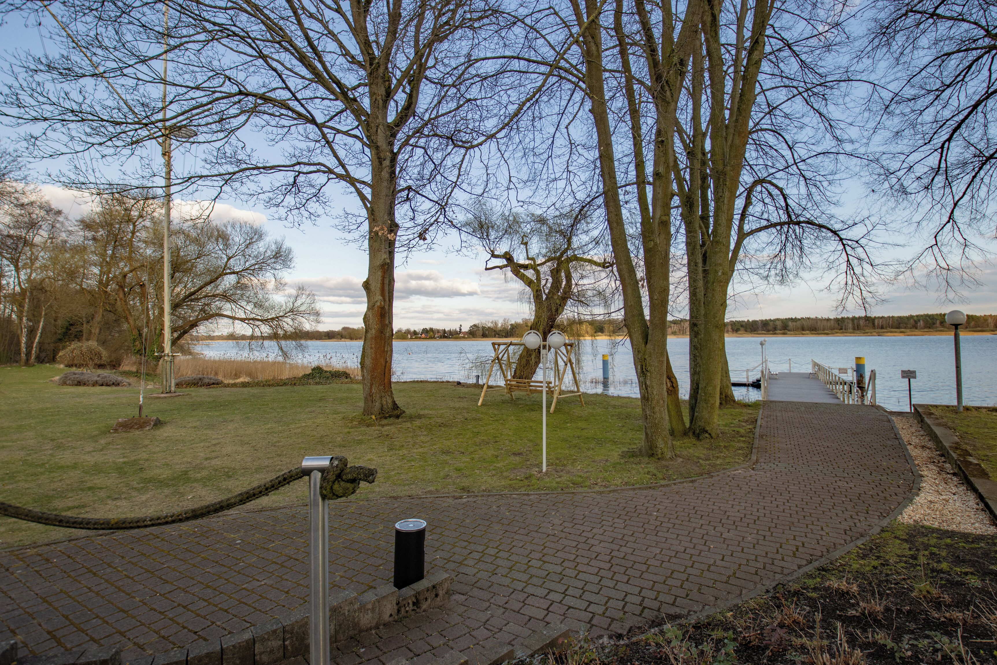 Un sendero pavimentado que conduce a un lago, rodeado de árboles y una zona cubierta de césped.