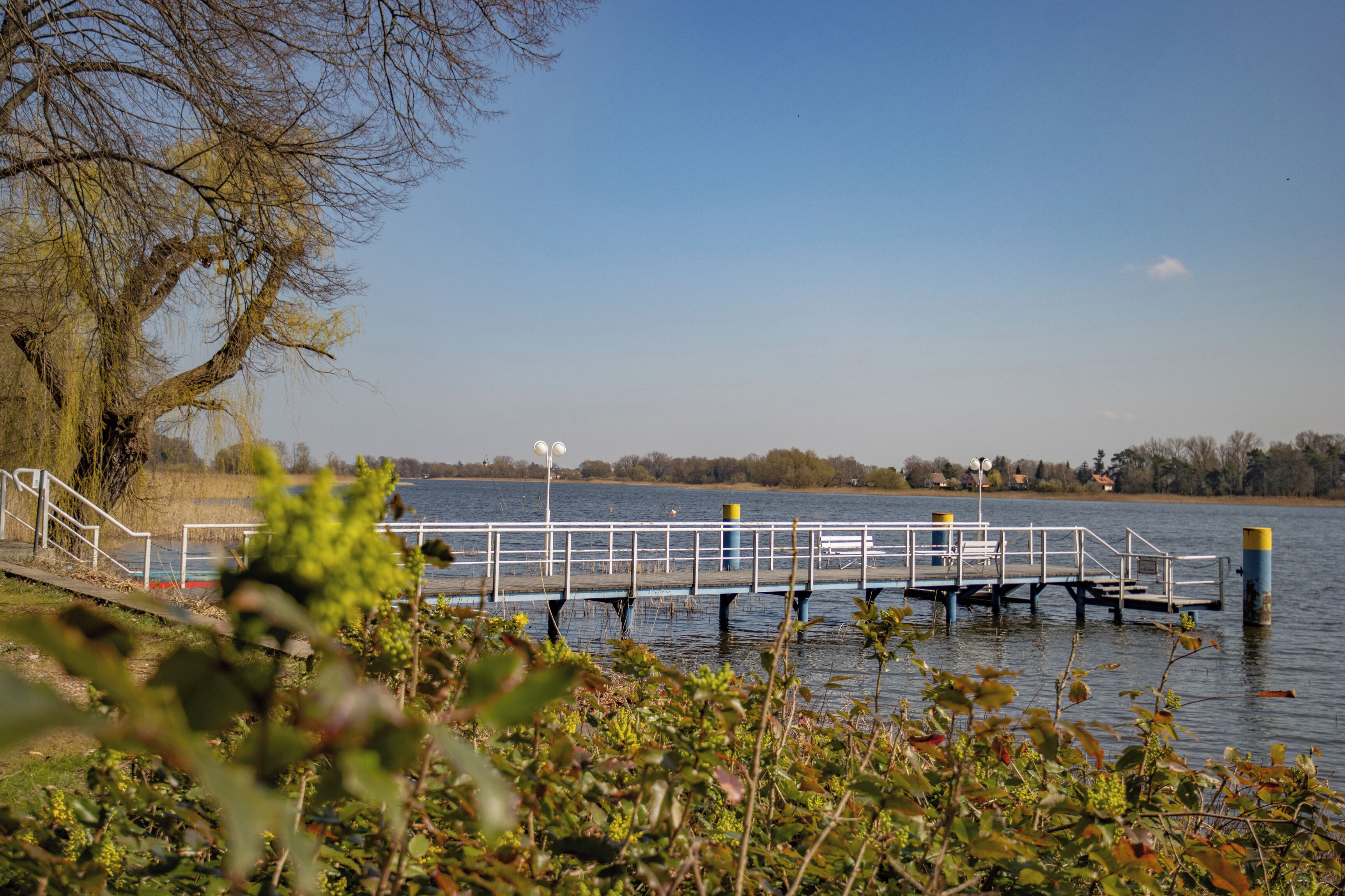 A pier extending into a calm body of water, surrounded by trees and vegetation.