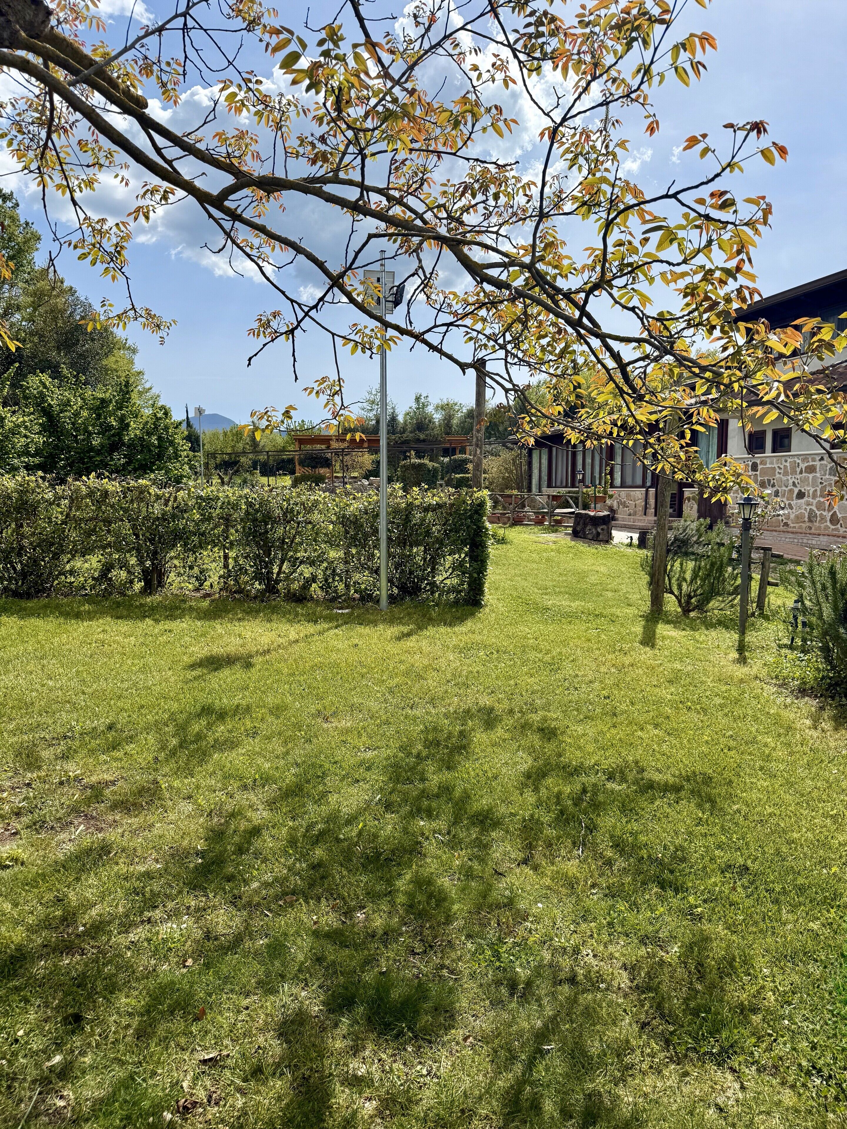 A grassy outdoor area with a stone building, trees, and a clear sky.