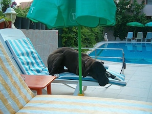 Pet-friendly - Mandalinn Hotel (Ortaca)