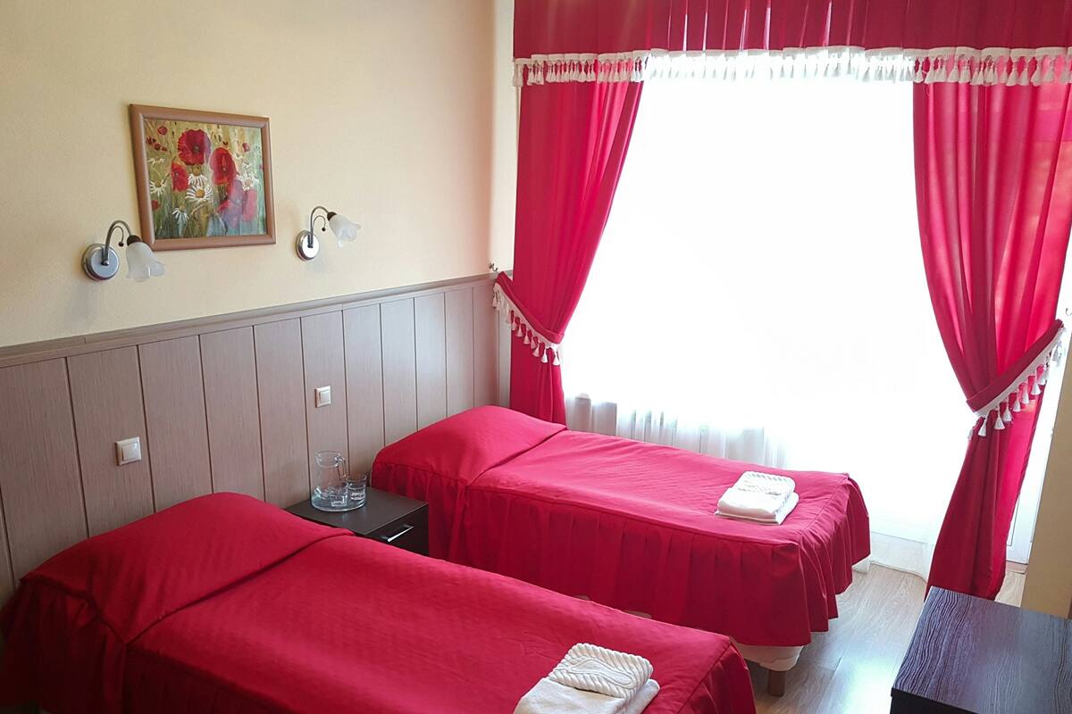 Standard Twin Room | Iron/ironing board (on request), rollaway beds, free WiFi