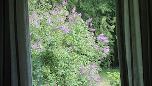 A view through a window with a view of a tree with purple flowers. - Guesthouse Kuin Kotonaan (Kotka)