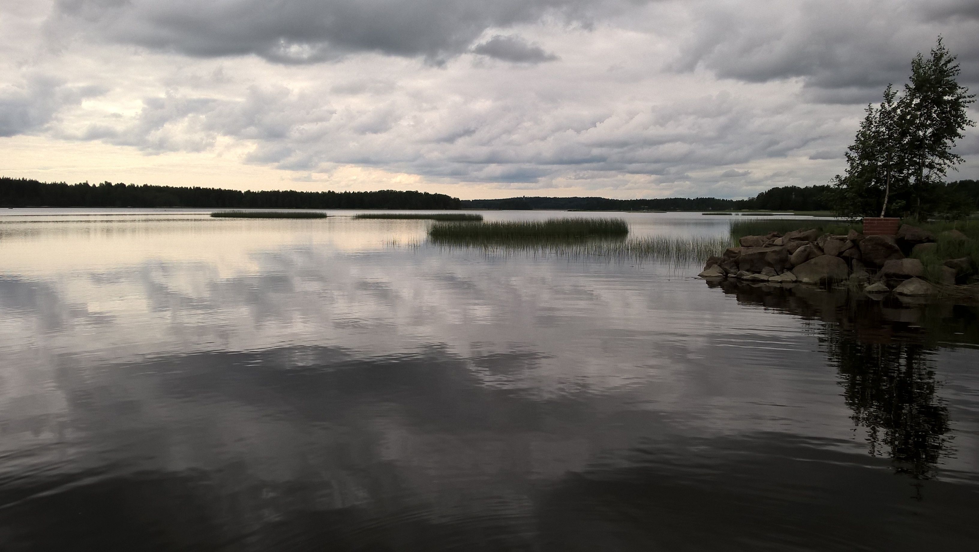Un lago tranquilo con una orilla rocosa y un árbol a la derecha.