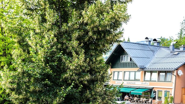 Een terras met tafels en stoelen, omringd door groen en bloemen.