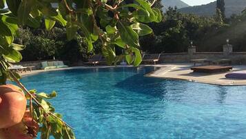 Outdoor pool, pool umbrellas, sun loungers