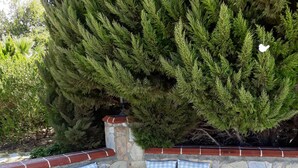 Ein Sitzbereich im Freien mit Steinmauern, blau-weißen karierten Kissen, einem runden Tisch mit einer Laterne und einem gewebten Korb.