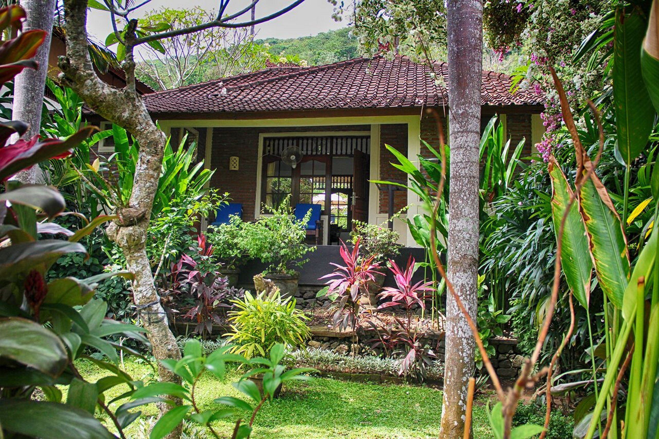 bungalow 2 | property grounds