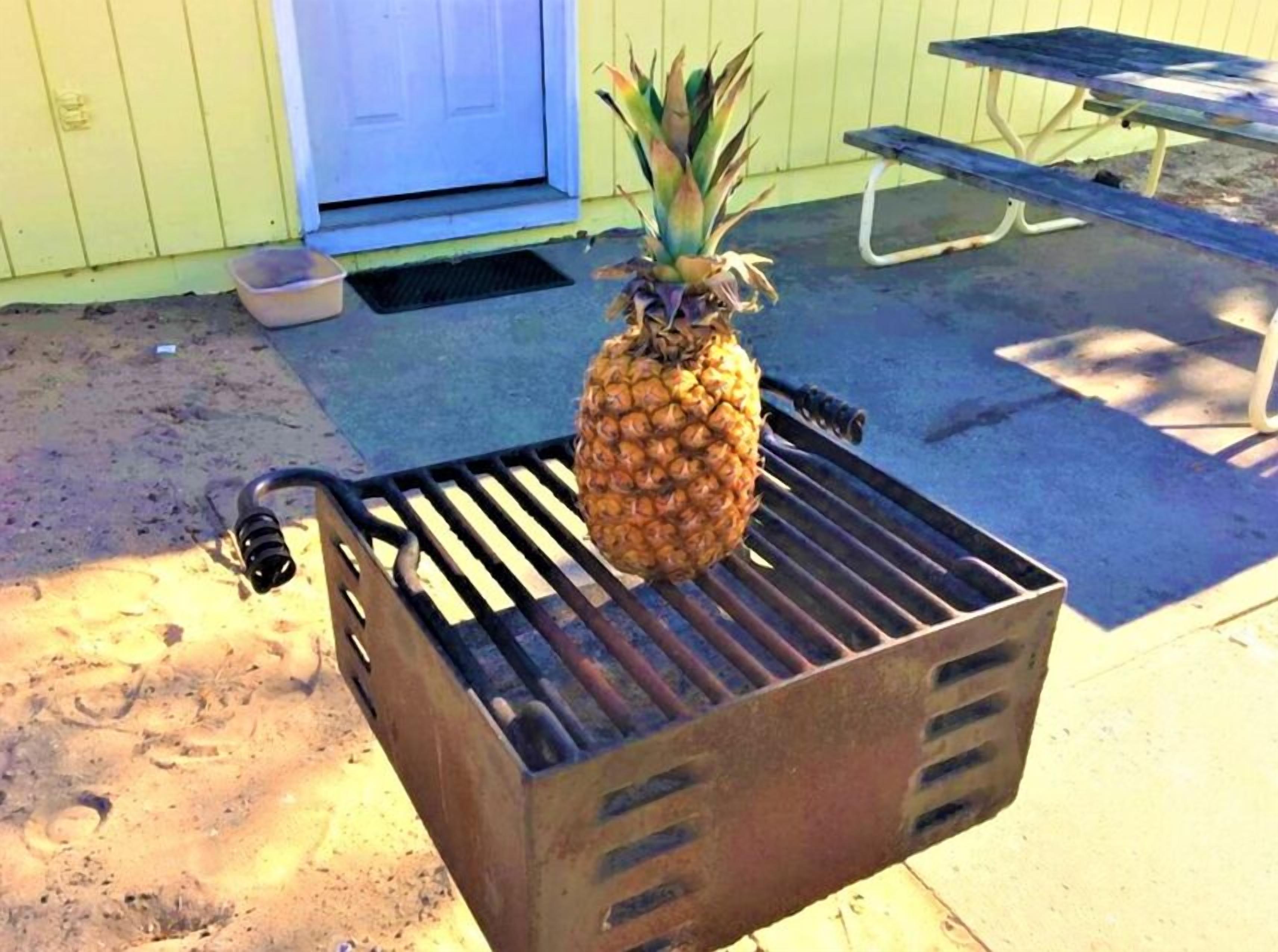 Un ananas grillé à l’extérieur.
